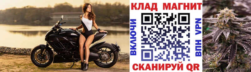 Галлюциногенные грибы Грязовец