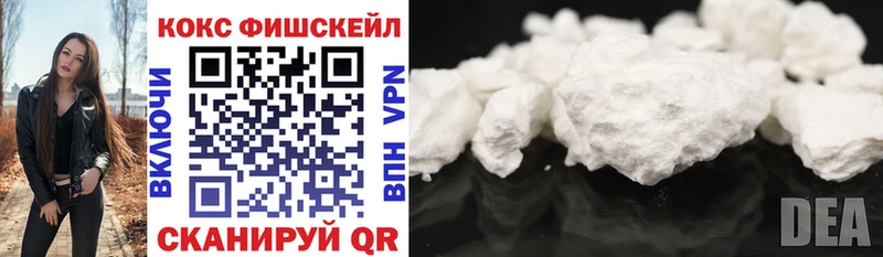Купить где  Грязовец  COCAIN 98% 