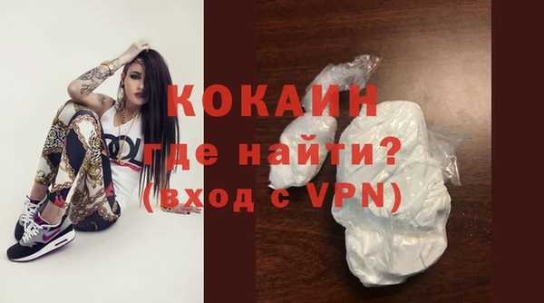 шишки Заволжск