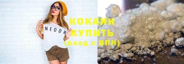 шишки Заволжск