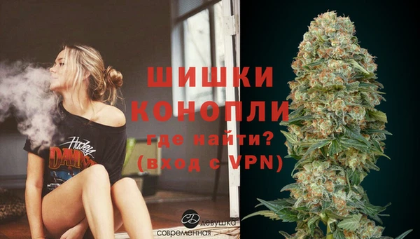 дживик Заводоуковск