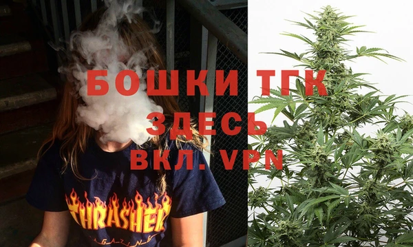 дживик Заводоуковск