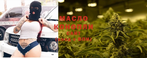 шишки Заволжск