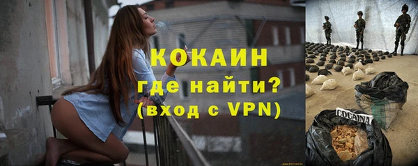 шишки Заволжск