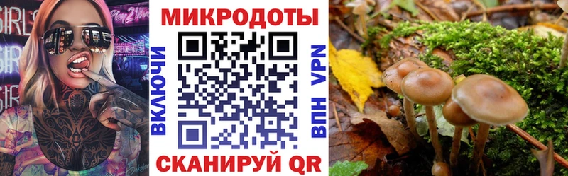Галлюциногенные грибы мухоморы  Купить закладки  Грязовец 